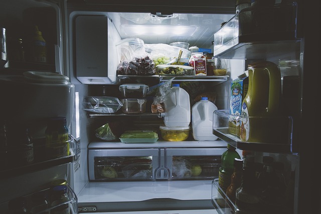 2) Common Causes Of Gnats In Refrigerators