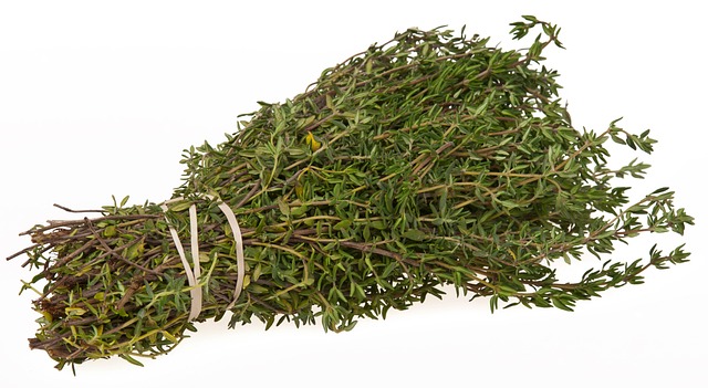 Proper Care And Maintenance For Thriving Thyme Plants